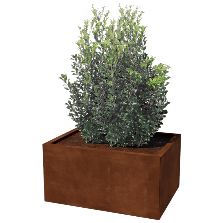 Corten-teräksinen istutuslaatikko - Suorakaiteen muotoiset - 60 x 80 cm