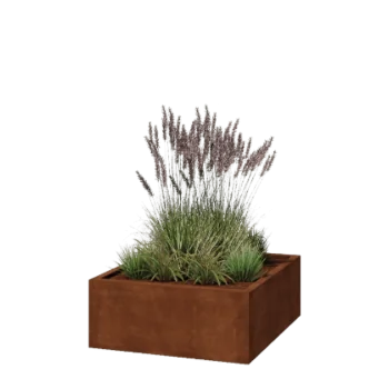 Corten-teräksinen istutuslaatikko - Neliönmuotoiset - 100 x 100 x 40 cm - Hitsattu - Ilman pohjalevyä