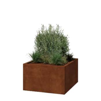 Corten-teräksinen istutuslaatikko - Neliönmuotoiset - 100 x 100 x 60 cm - Hitsattu - Pohjalevyllä